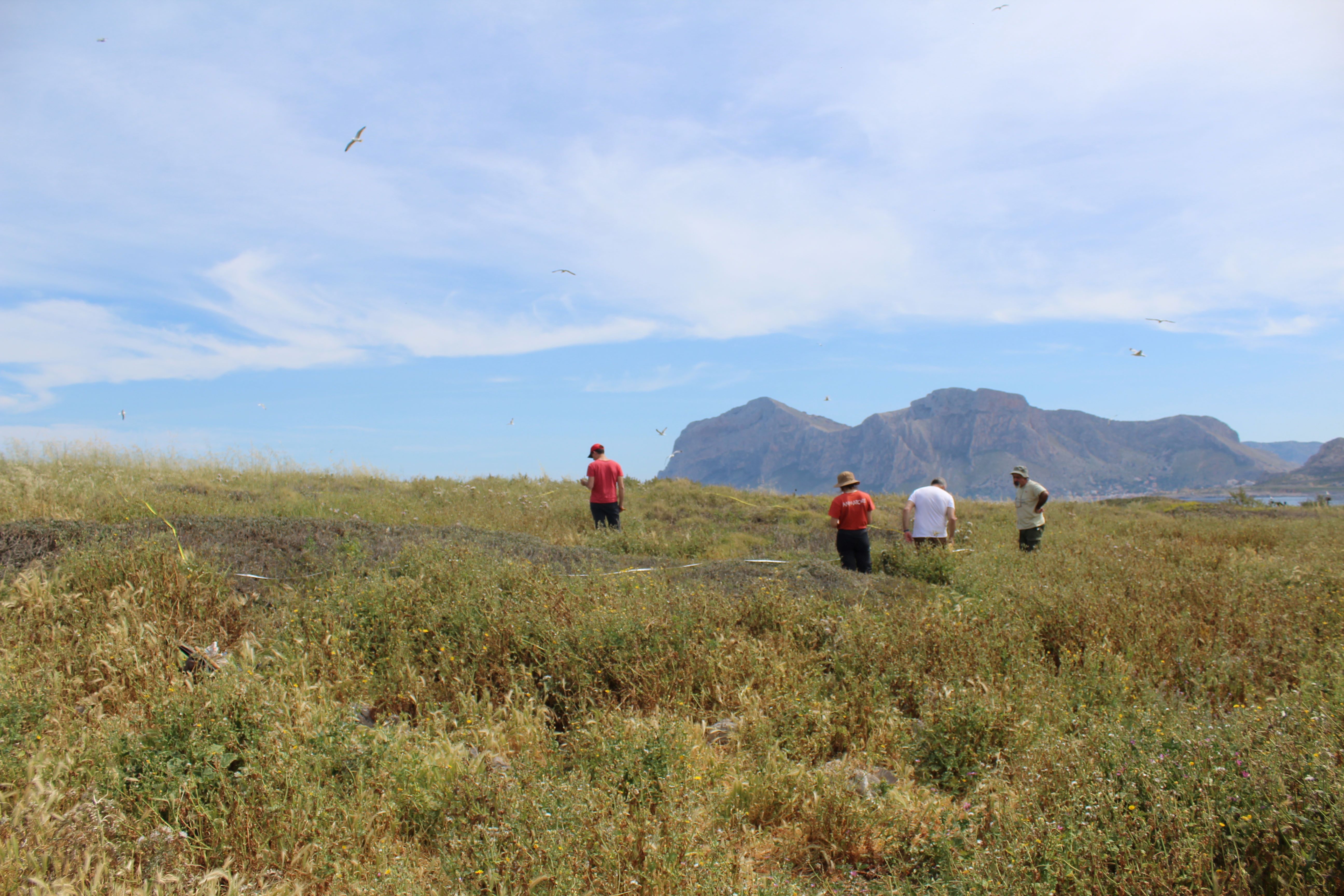 Isola delle Femmine field work